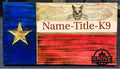 Texas Flag